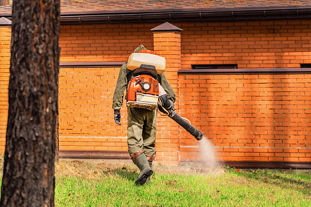 Bed Bug Clearance Verification and Documentation in Picnic Point